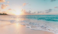 <b>汇聚的用户和品牌资本</b> 