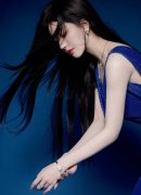 涉嫌犯罪问题移送查察机关依法审查告状 